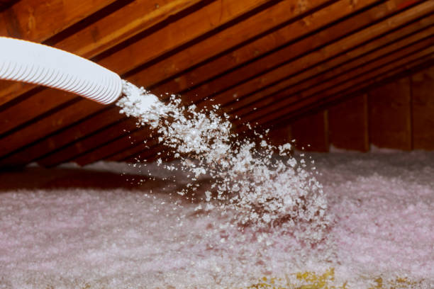 Best Insulation Installation Services in Albion, NY