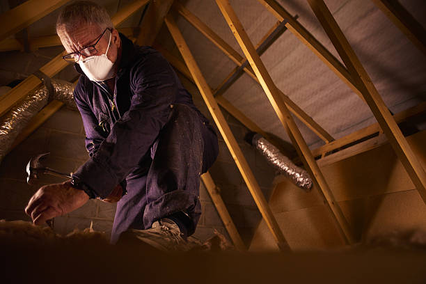 Best Commercial Insulation in Albion, NY